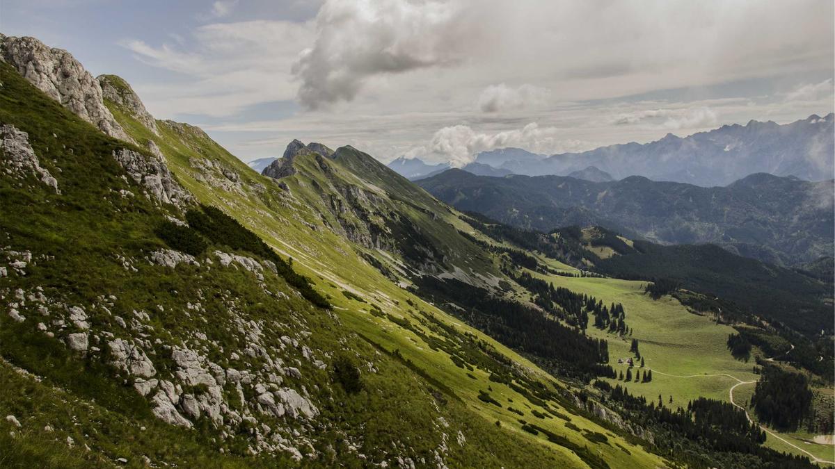 Choosing SaaS Tools for a Small Team: What to Buy, What to Postpone